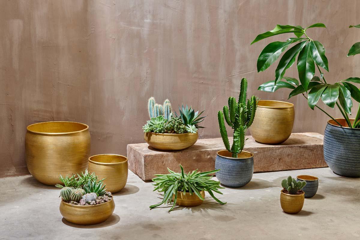 Nkuku Tembesi Etched Planter – Antique Black & Brass