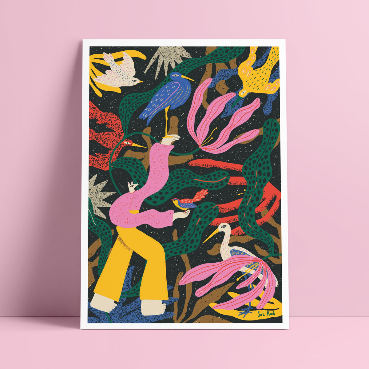 Print 10 "Fauna nocturna"