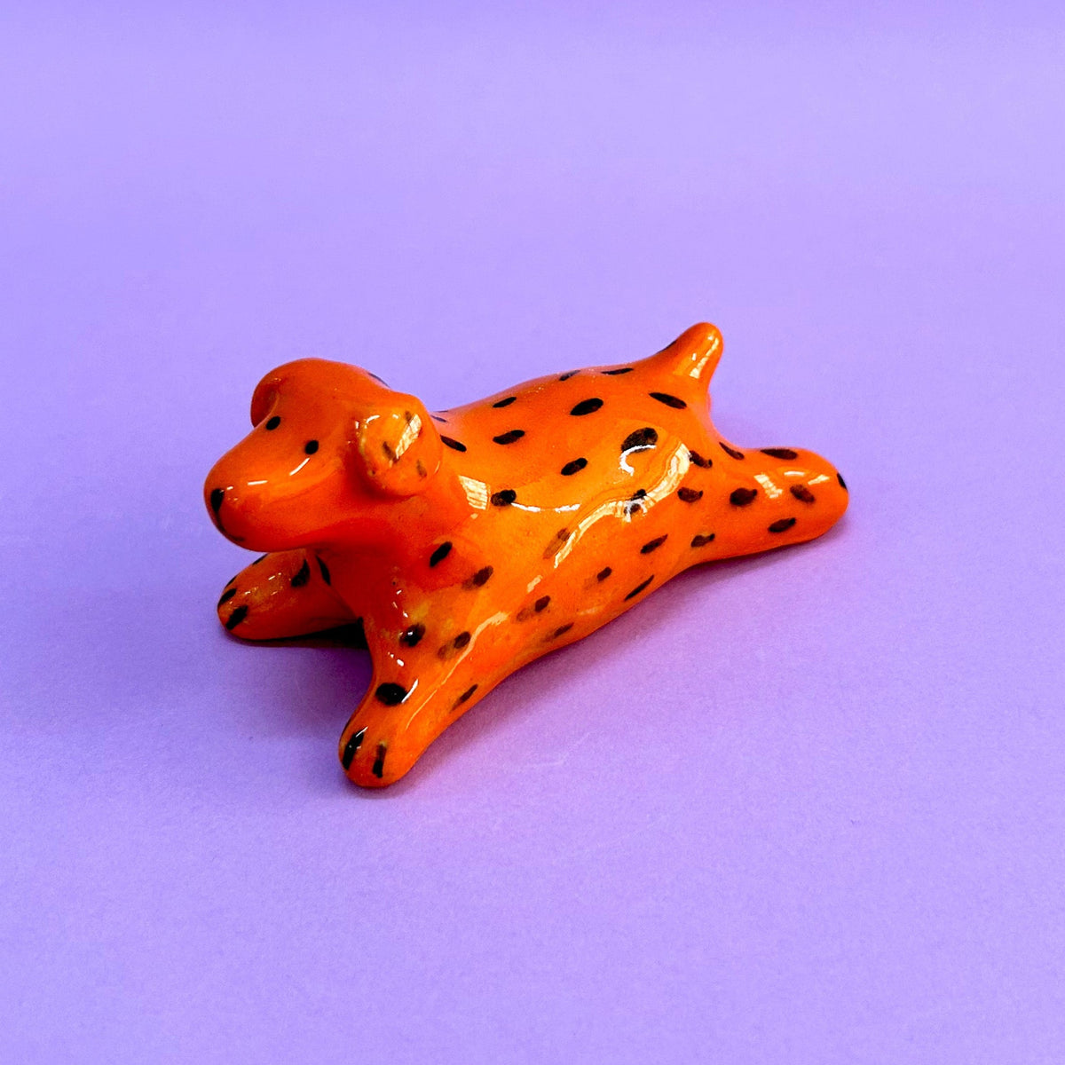Perrito naranja