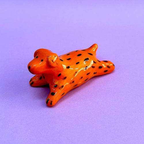 Perrito naranja
