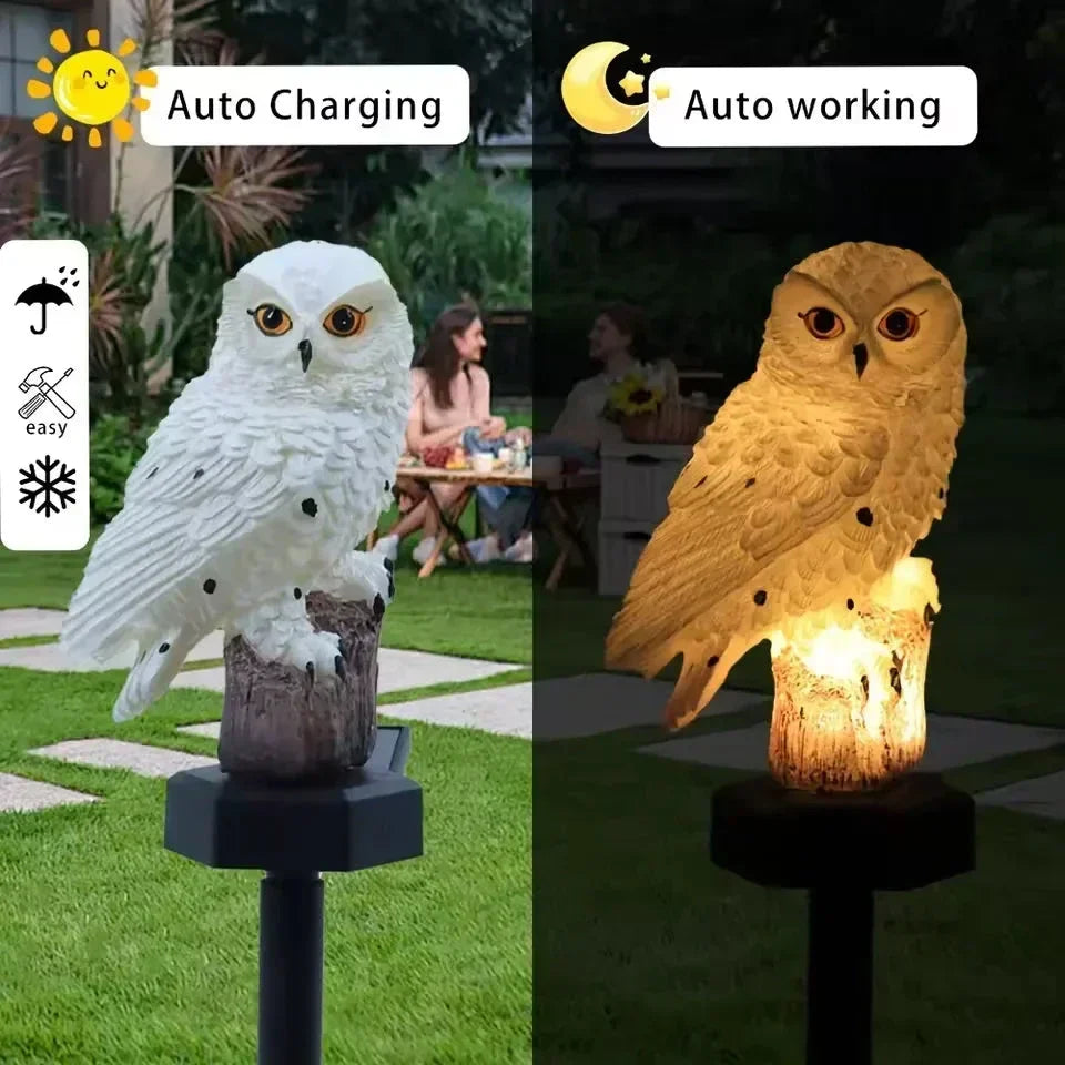 🔥Last Day 50% OFF🦉Brighten your garden path today Solar Owl Pathway Light