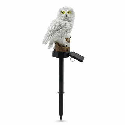 🔥Last Day 50% OFF🦉Brighten your garden path today Solar Owl Pathway Light