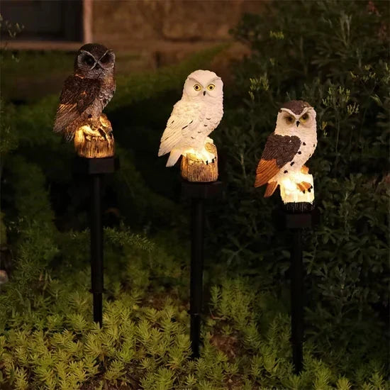 🔥Last Day 50% OFF🦉Brighten your garden path today Solar Owl Pathway Light