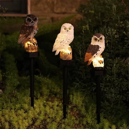 🔥Last Day 50% OFF🦉Brighten your garden path today Solar Owl Pathway Light