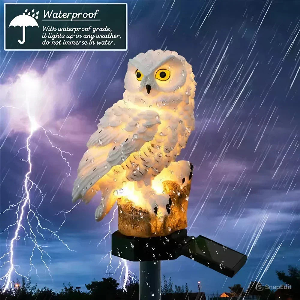 🔥Last Day 50% OFF🦉Brighten your garden path today Solar Owl Pathway Light