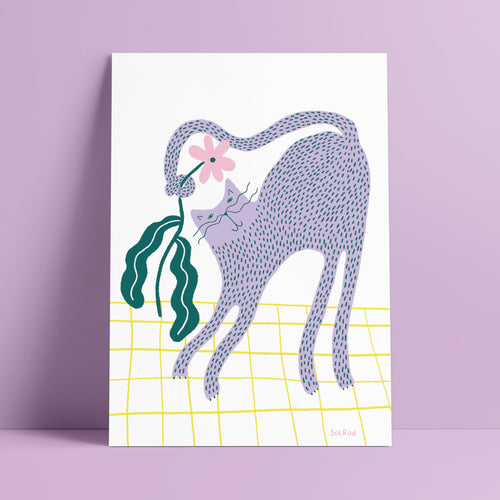 Print 22 "Gato lila"