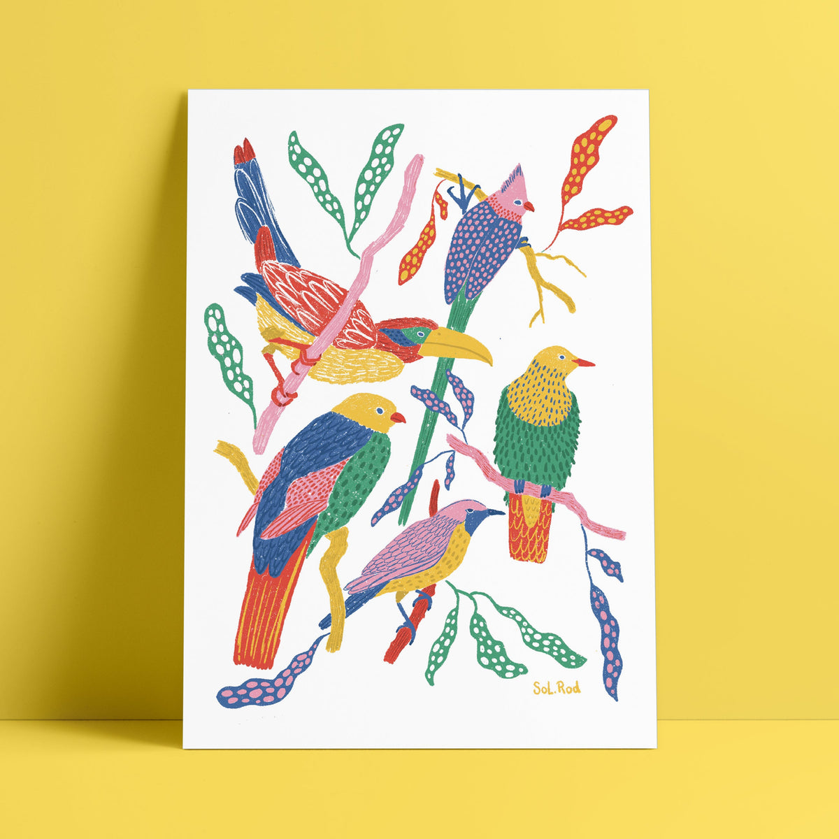 Print 25 "Aves de colores"