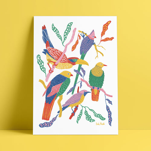 Print 25 "Aves de colores"