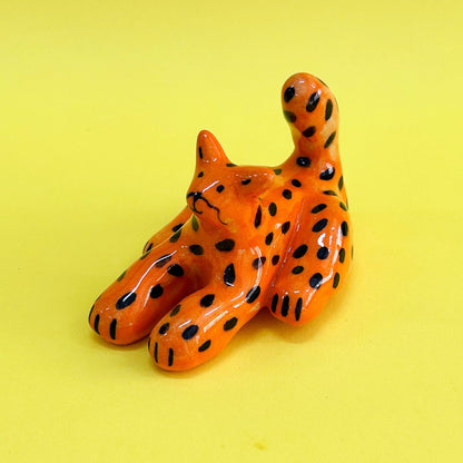 Gatito naranja