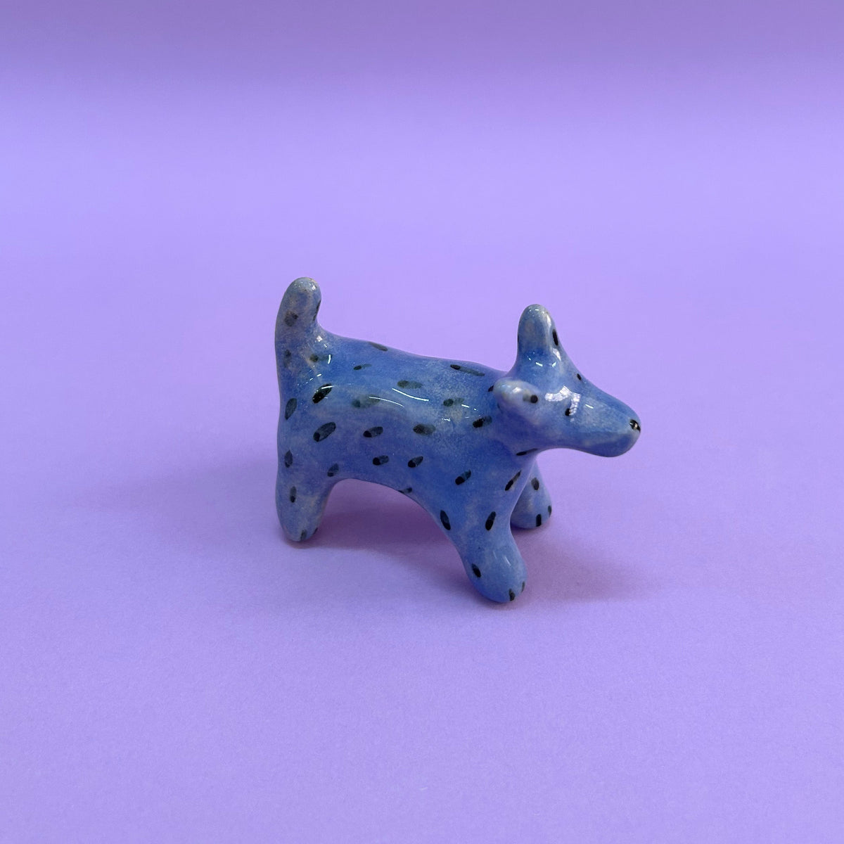 Perrito celeste
