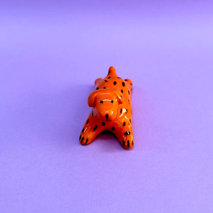 Perrito naranja