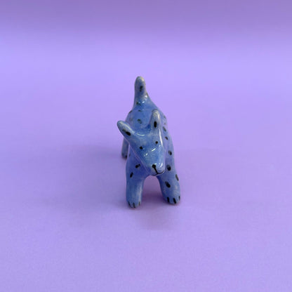 Perrito celeste