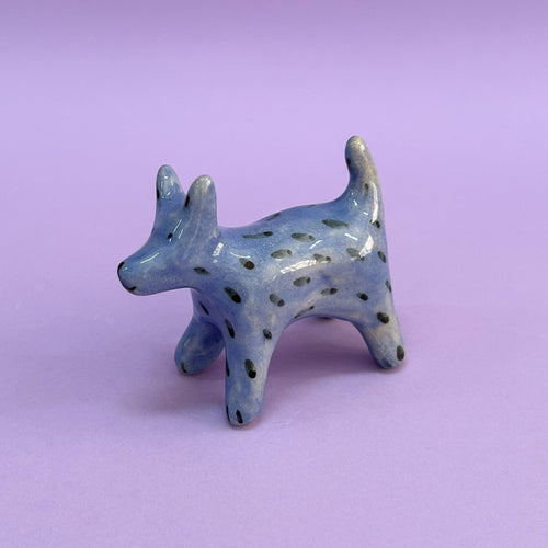 Perrito celeste