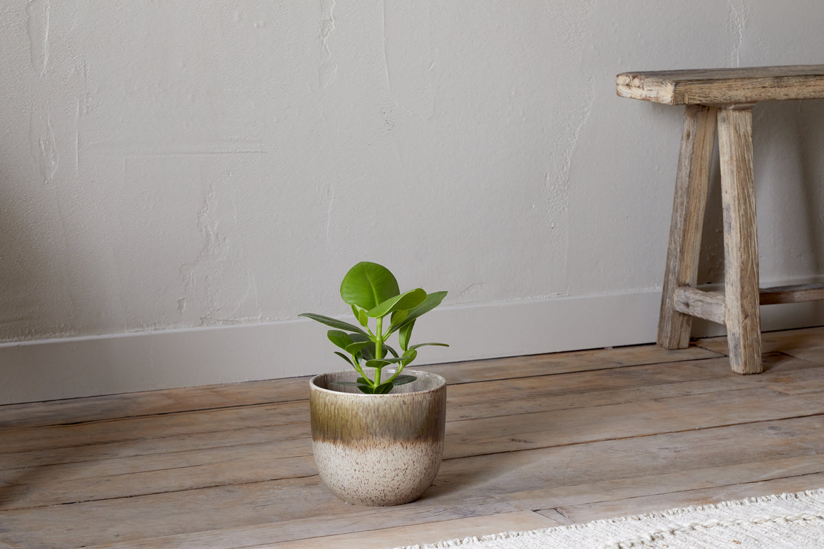 Nkuku Almeida Reactive Glaze Plant Pot – Olive & Natural