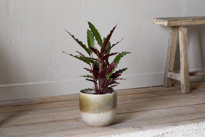 Nkuku Almeida Reactive Glaze Plant Pot – Olive & Natural