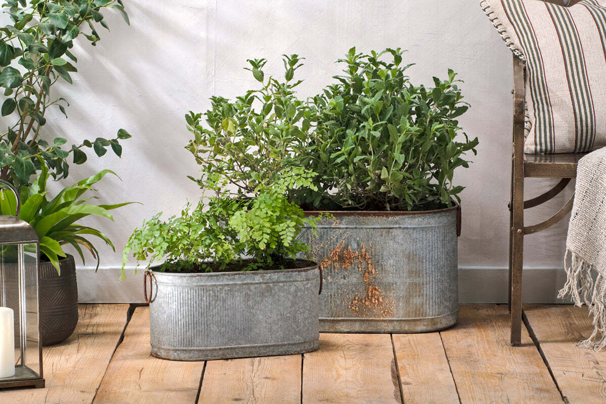 Nkuku Akasa Trough Planter – Zinc