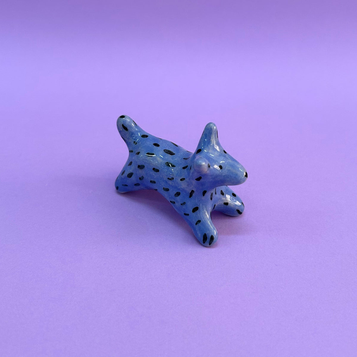Perrito celeste