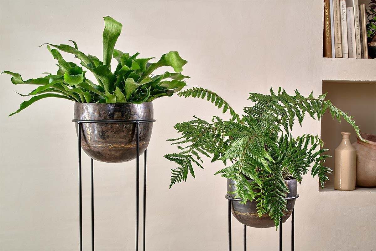 Nkuku Endo Reclaimed Iron Planter Stand