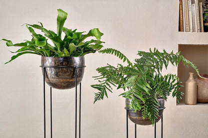 Nkuku Endo Reclaimed Iron Planter Stand