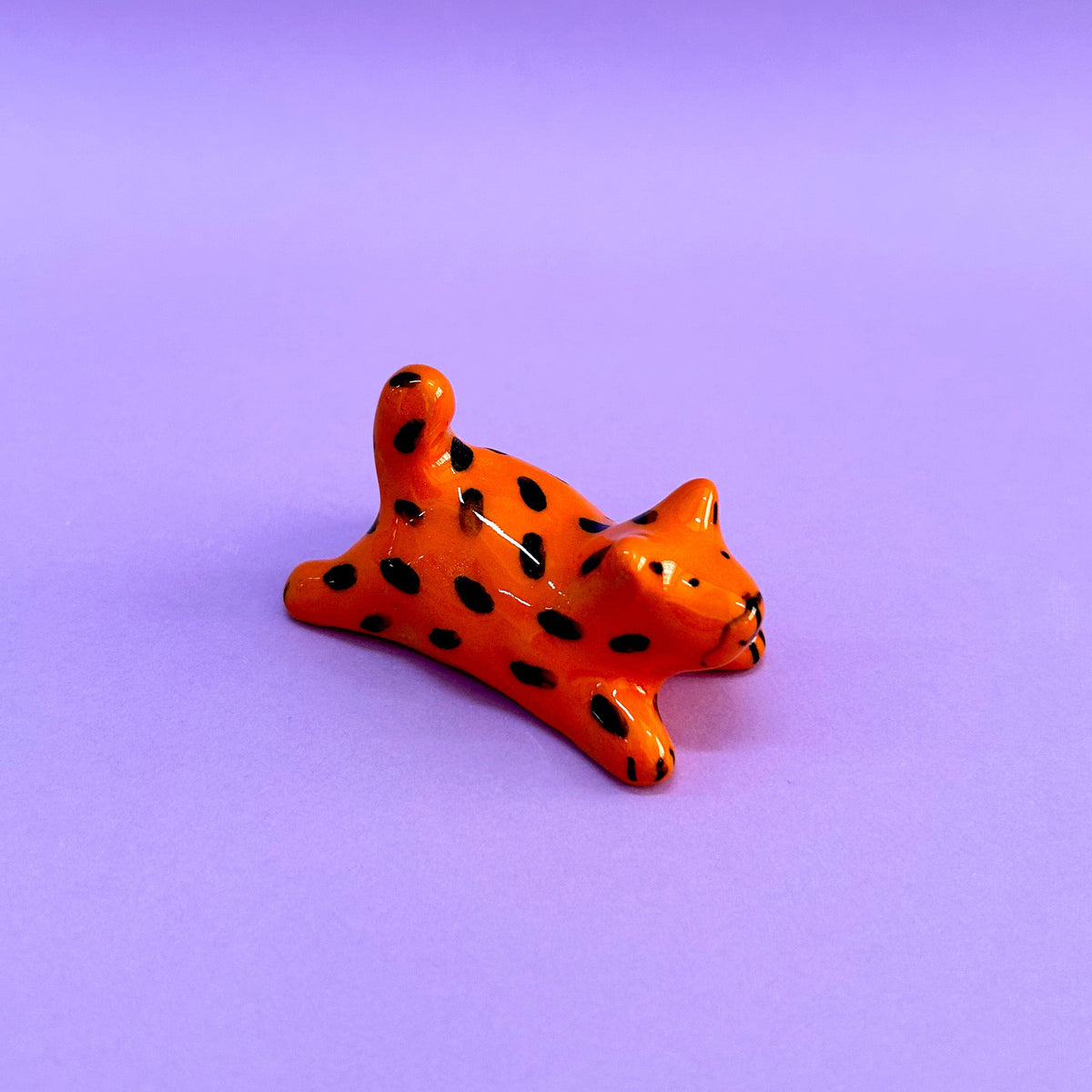 gatito naranja