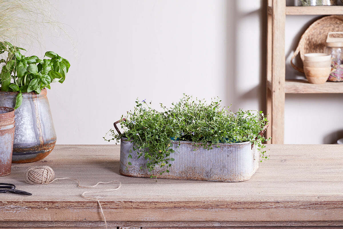 Nkuku Japos Outdoor Planter Tray – Aged Zinc