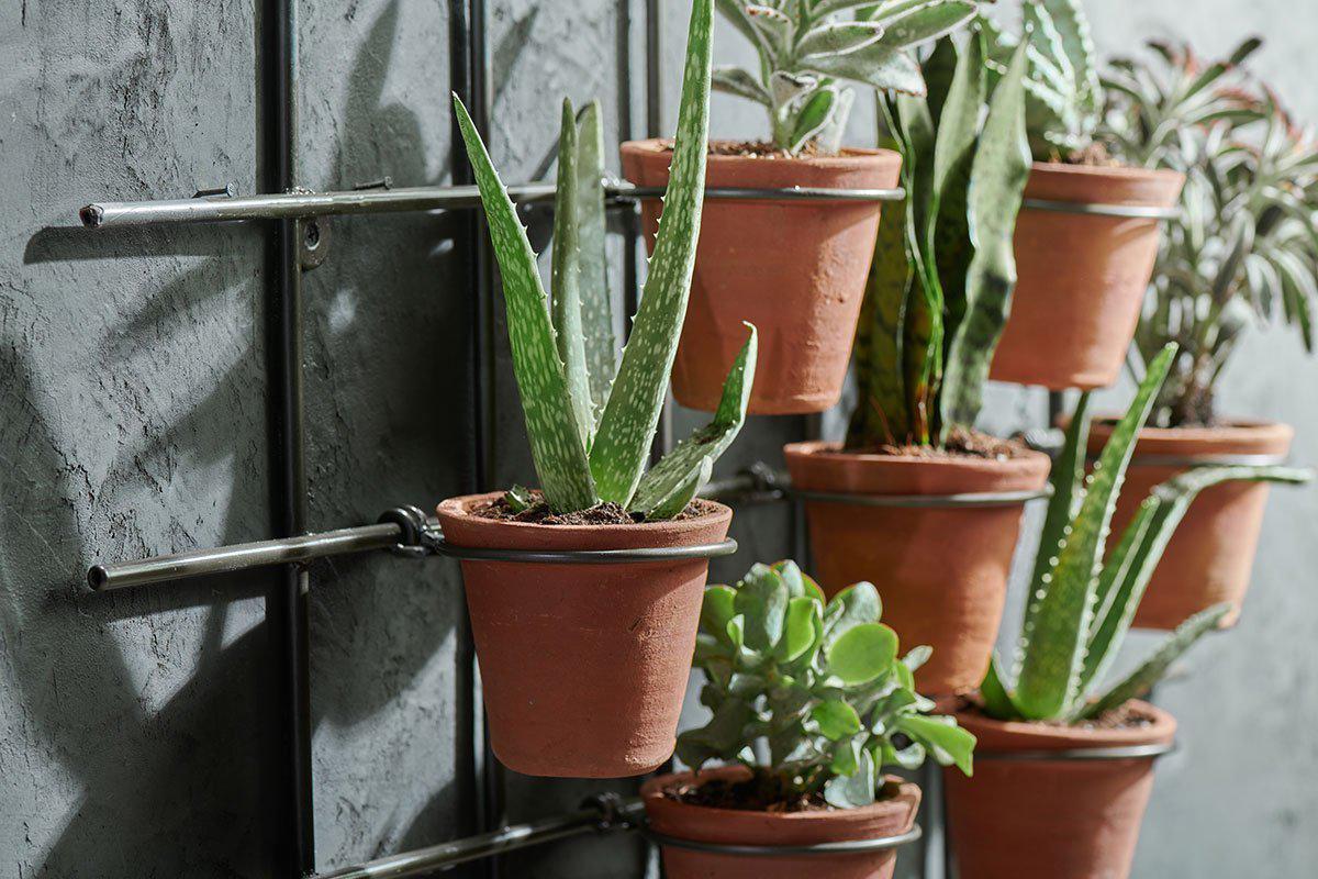 Nkuku Jara Terracotta Wall Hung Planter