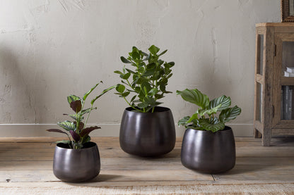 Nkuku Maliki Plant Pot – Aged Bronze