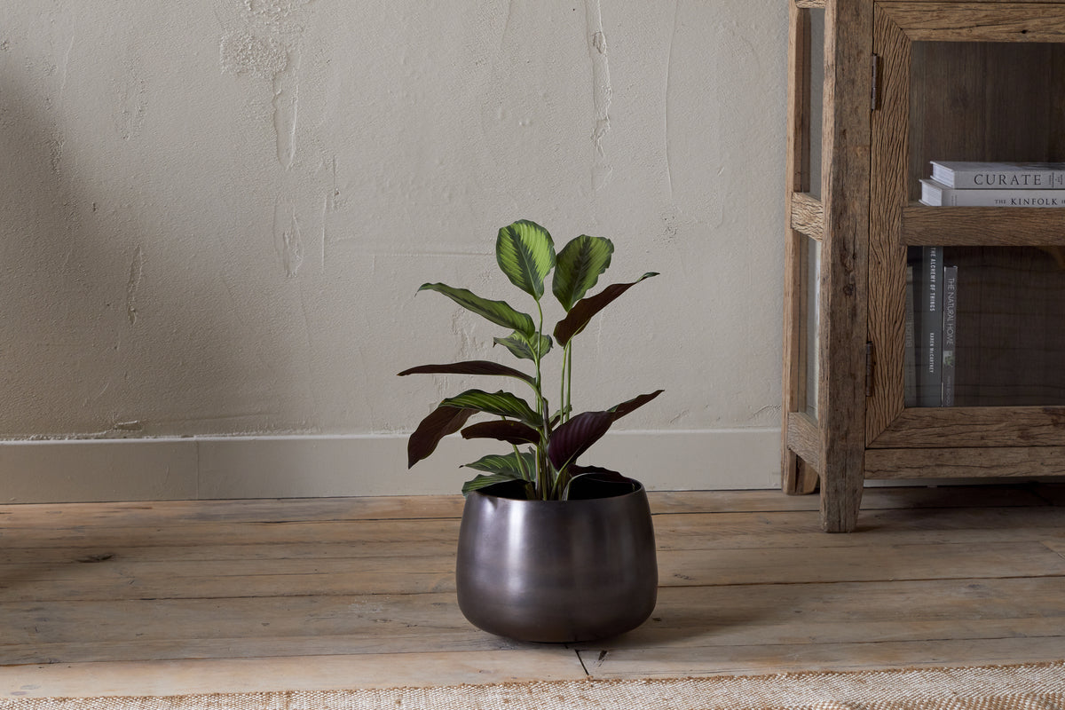 Nkuku Maliki Plant Pot – Aged Bronze
