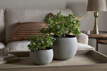 Nkuku Laoko Planter – Olive Grey