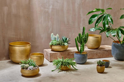 Nkuku Tembesi Etched Planter – Antique Black & Brass