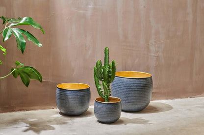 Nkuku Tembesi Etched Planter – Antique Black & Brass