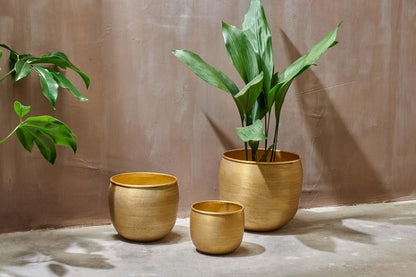 Nkuku Tembesi Etched Planter – Antique Brass