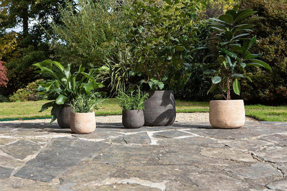 Nkuku Zadie Etched Ceramic Planters – Grey – (Set of 2)