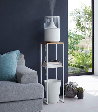 Two-Tier Display & Storage Shelf (31.5" H)  - Steel + Wood