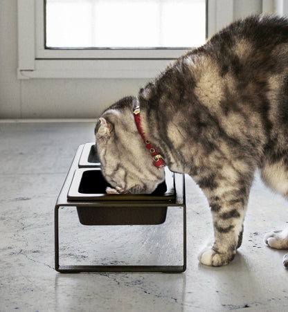 Pet Food Bowl - Tall - Steel + Ceramic