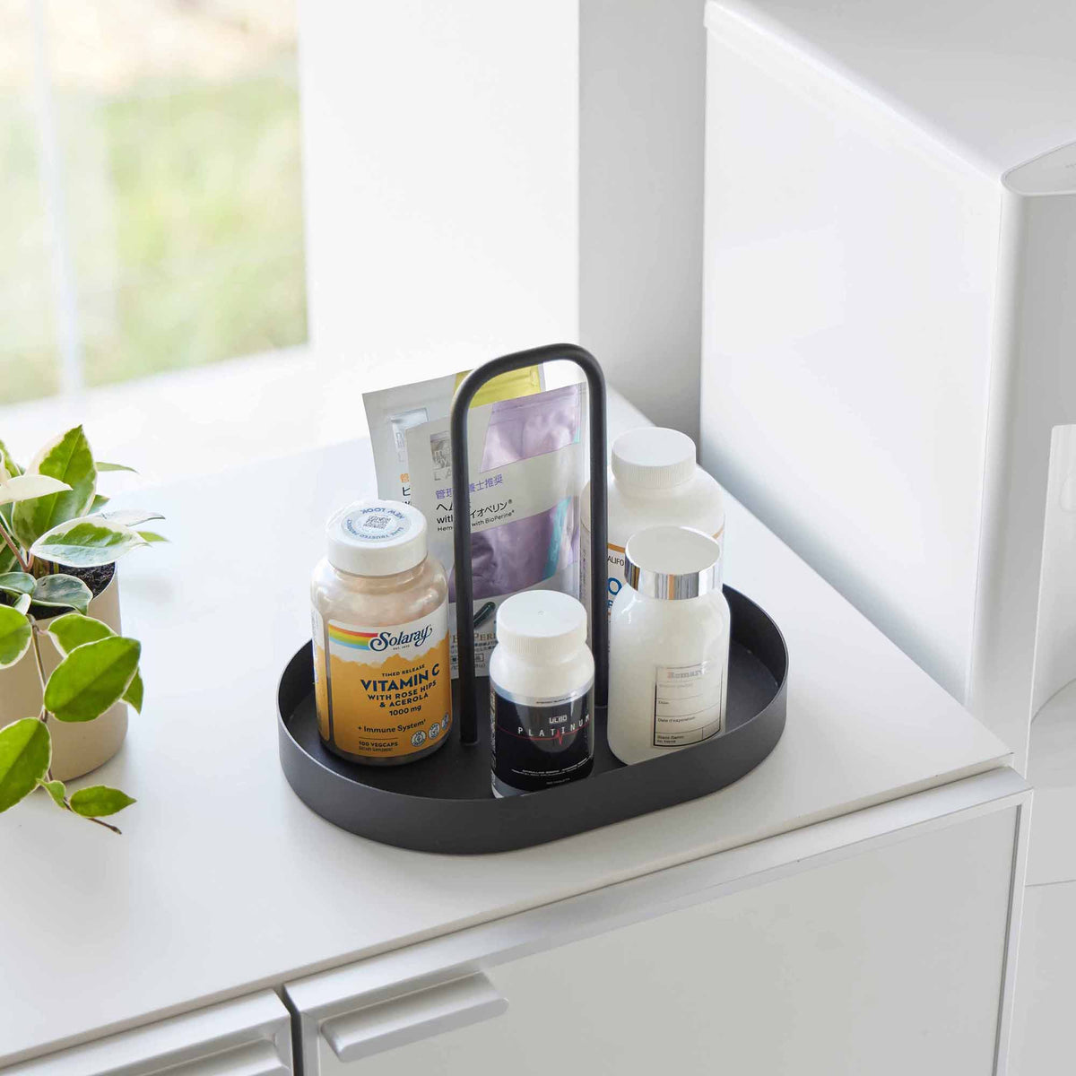 Vanity Tray with Handle - Steel