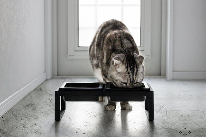 Pet Food Bowl - Tall - Steel + Ceramic