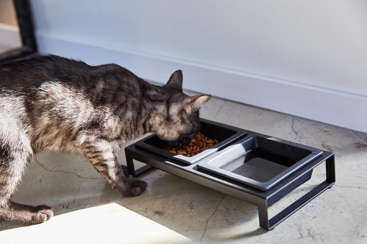 Pet Food Bowl - Steel + Ceramic