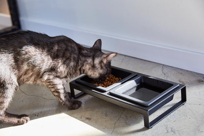Pet Food Bowl - Steel + Ceramic